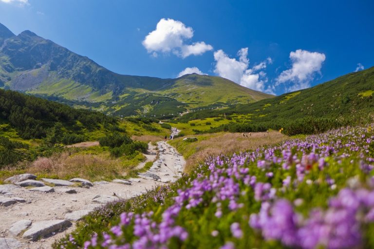 Noclegi zakopane – na co zwrócić uwagę, planując wyjazd?