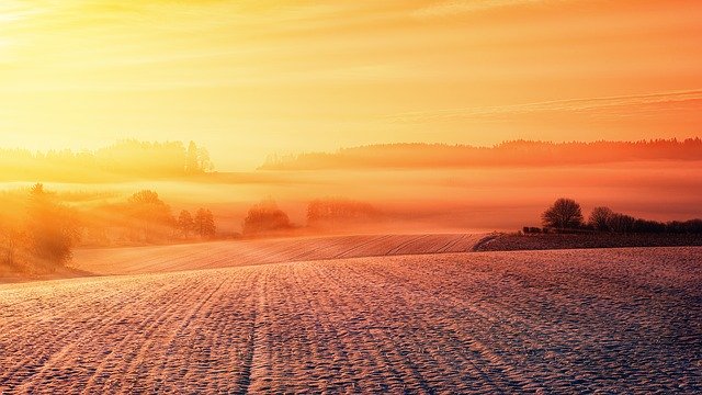 Trivino  – jak działa w trudnych warunkach polowych?